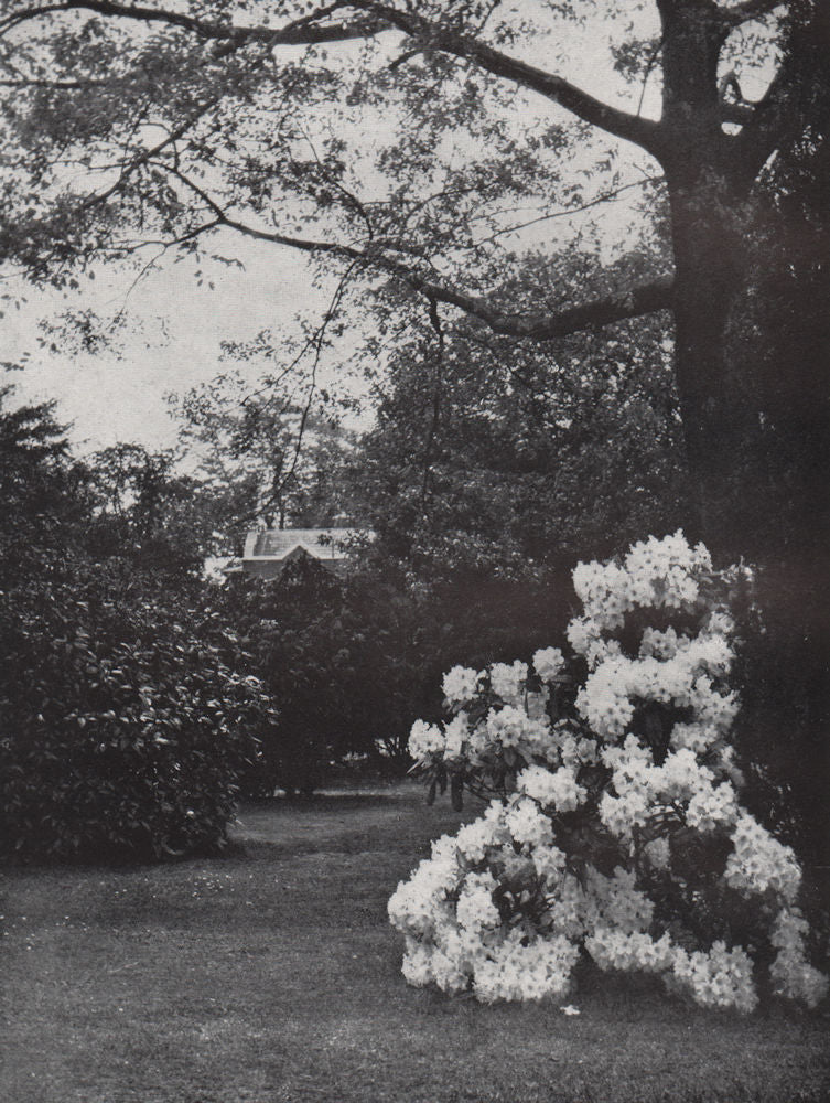 Kew Gardens. E.O. HOPPÉ. London 1930 old vintage print picture